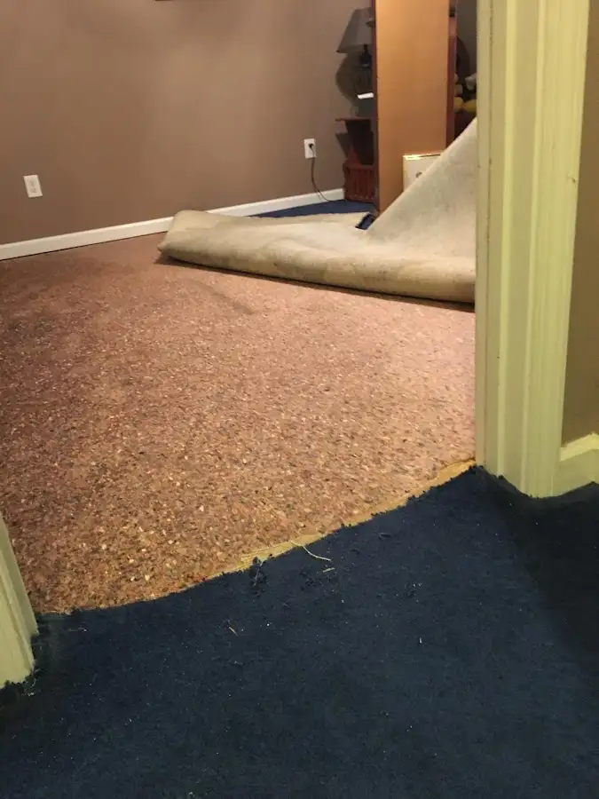 Carpet pad removal revealing water damage during Drying & Dehumidification in Moreau