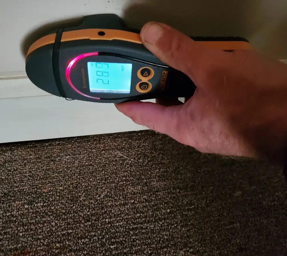 Moisture detection at baseboard during Mold Inspection & Testing in Moreau